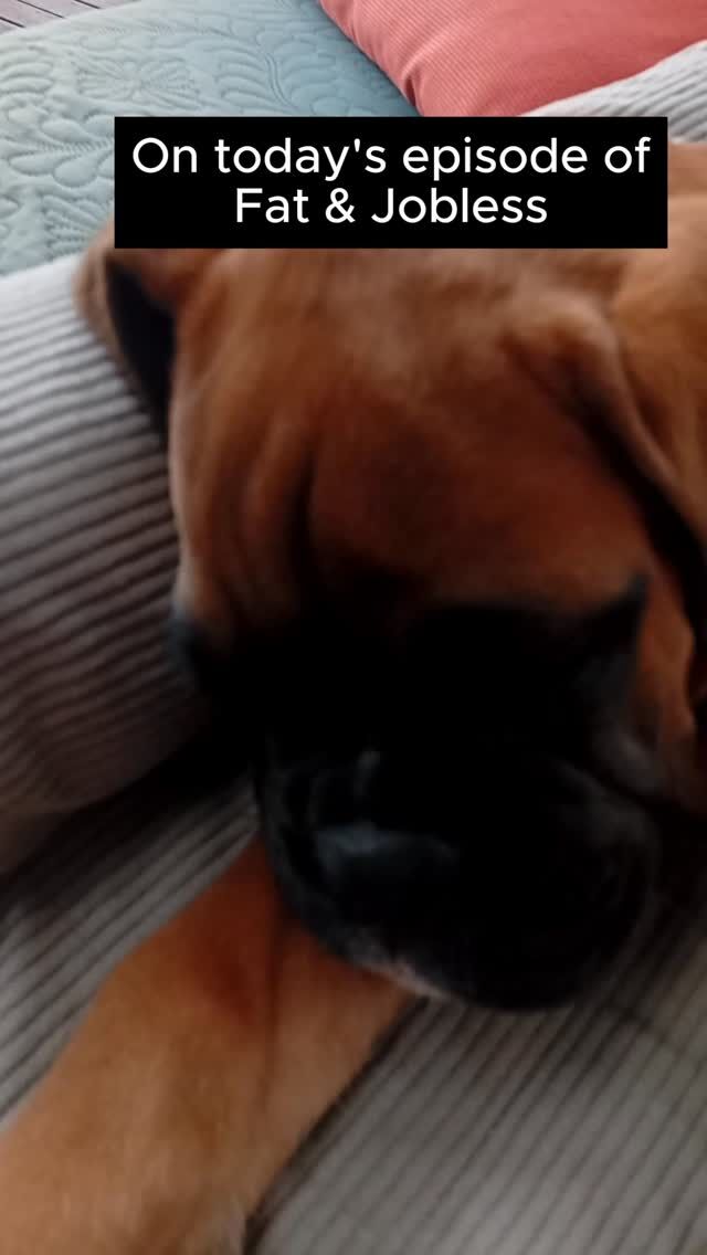 Being a cute puppy is a tough gig...apparently 🐶😍
#fyp #dog #cute #aveilaustralia